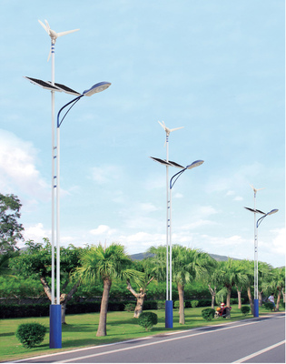 太阳能风光互补路灯T117