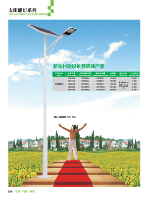 新农村太阳能路灯T109